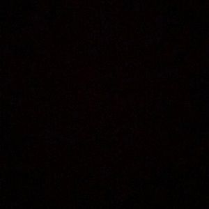 Meet your Posher, Daniela